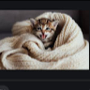 Meet your Posher, Lala